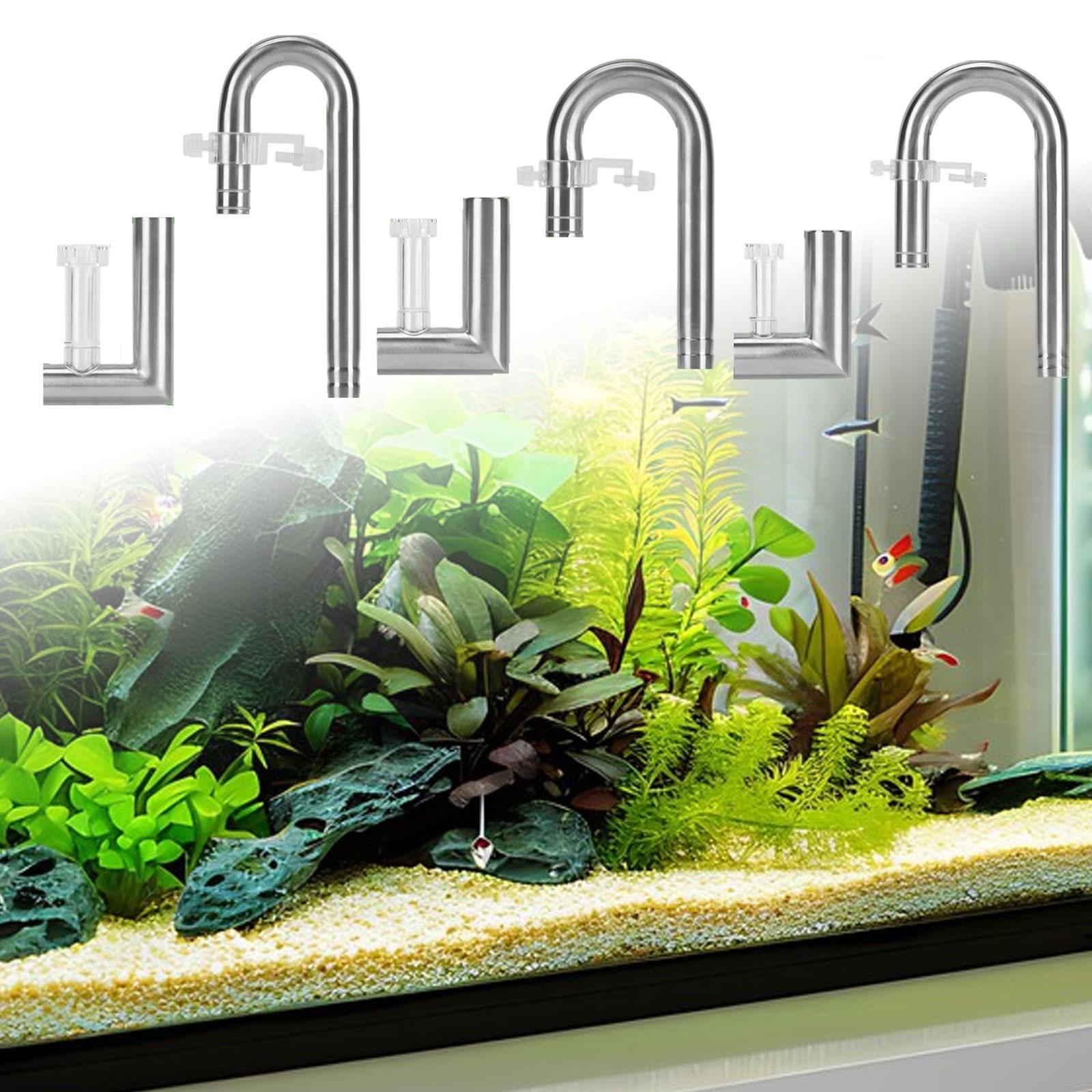 Planted Aquarium Youtube - Akvaryum Zambak Tüpü Bitkili Akvaryumlar İçin