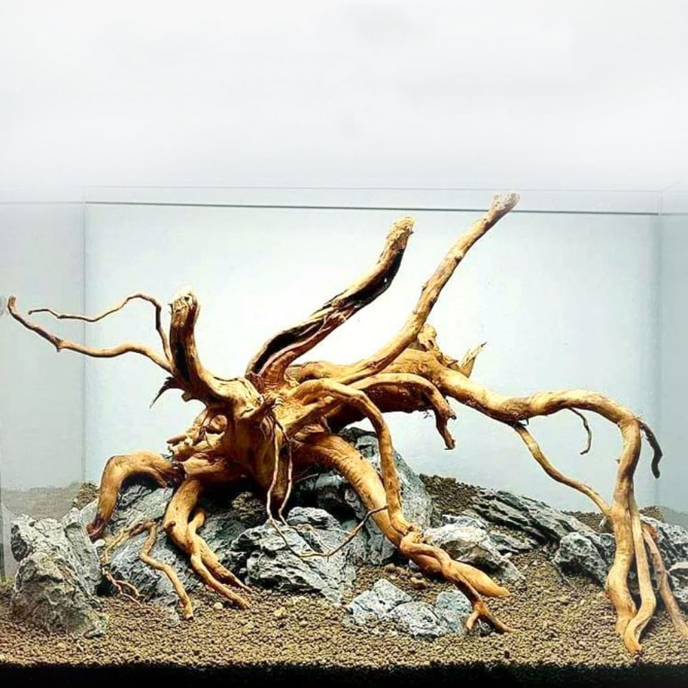 Aquarium Plant Root Tabs - Doğal ağaç gövdesi akvaryum dekorasyon ahşap