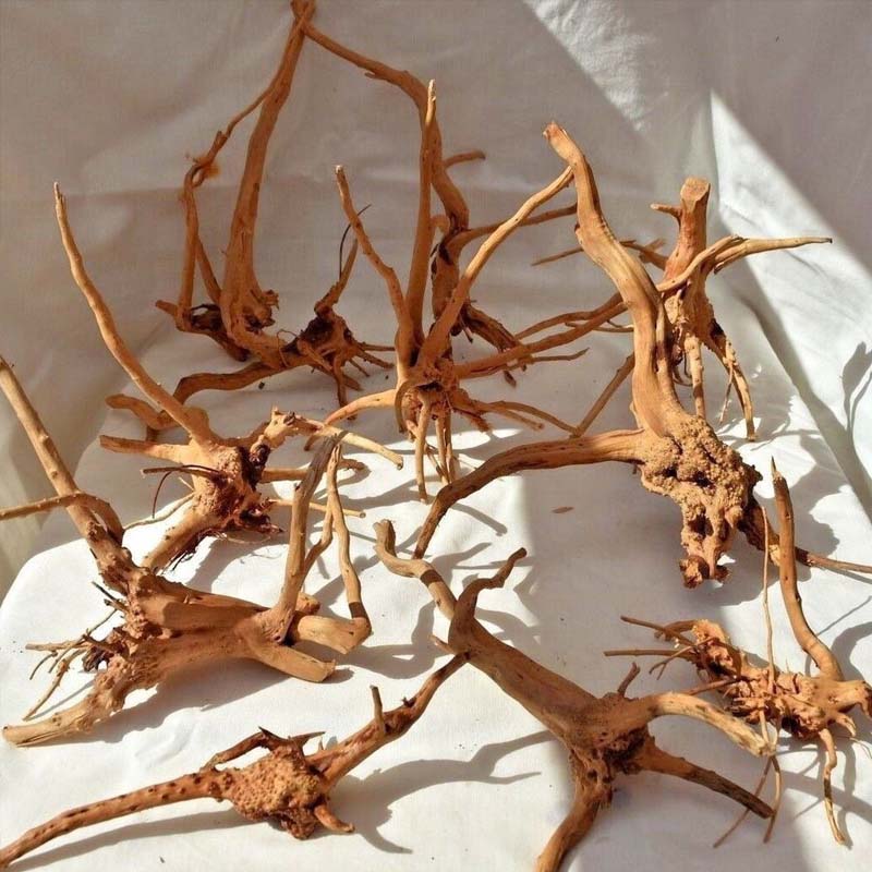 Aquarium Plant Root Tabs - 1 adet akvaryum için dalgaların karaya