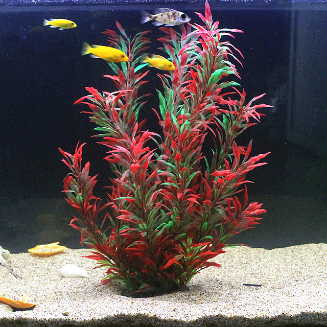 Aquarium Plant Nursery - 50 CM Yapay Balık Tankı Nadir