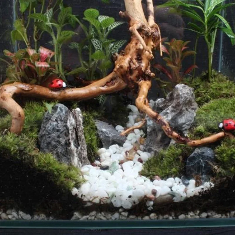 Doğal ağaç gövdesi Driftwood a - Aquarium Plant Root Tabs incelemesi ve fiyatı