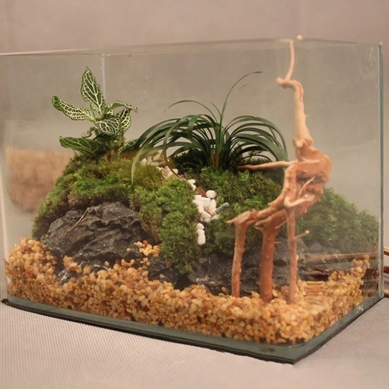 Doğal ağaç gövdesi Driftwood a - Aquarium Plant Root Tabs incelemesi ve fiyatı