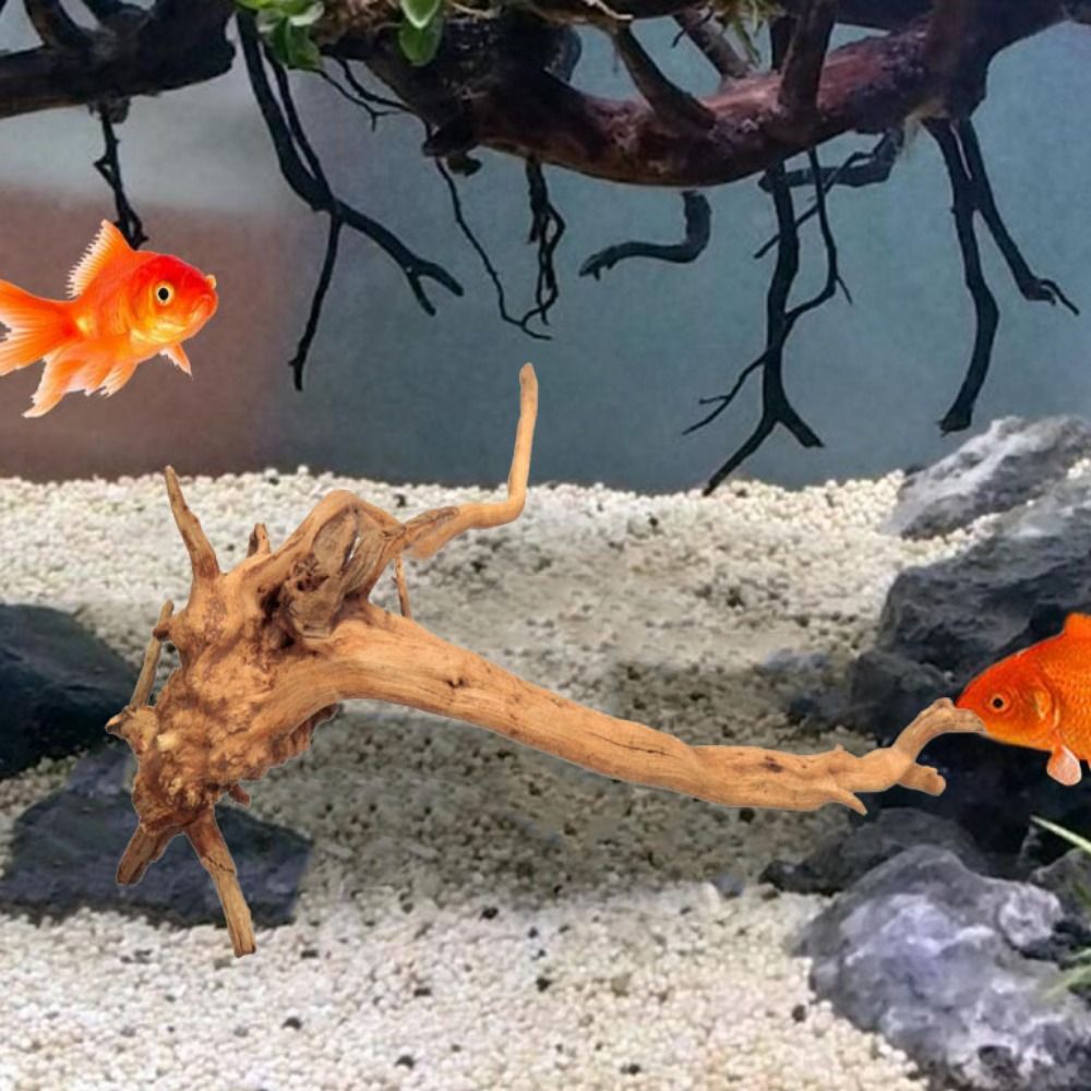 Doğal ağaç gövdesi akvaryum de - Aquarium Plant Root Tabs incelemesi ve fiyatı