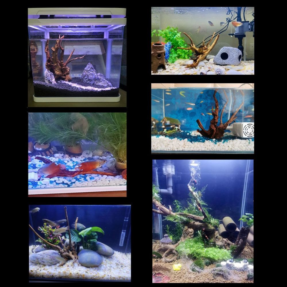 Doğal ağaç gövdesi akvaryum de - Aquarium Plant Root Tabs incelemesi ve fiyatı