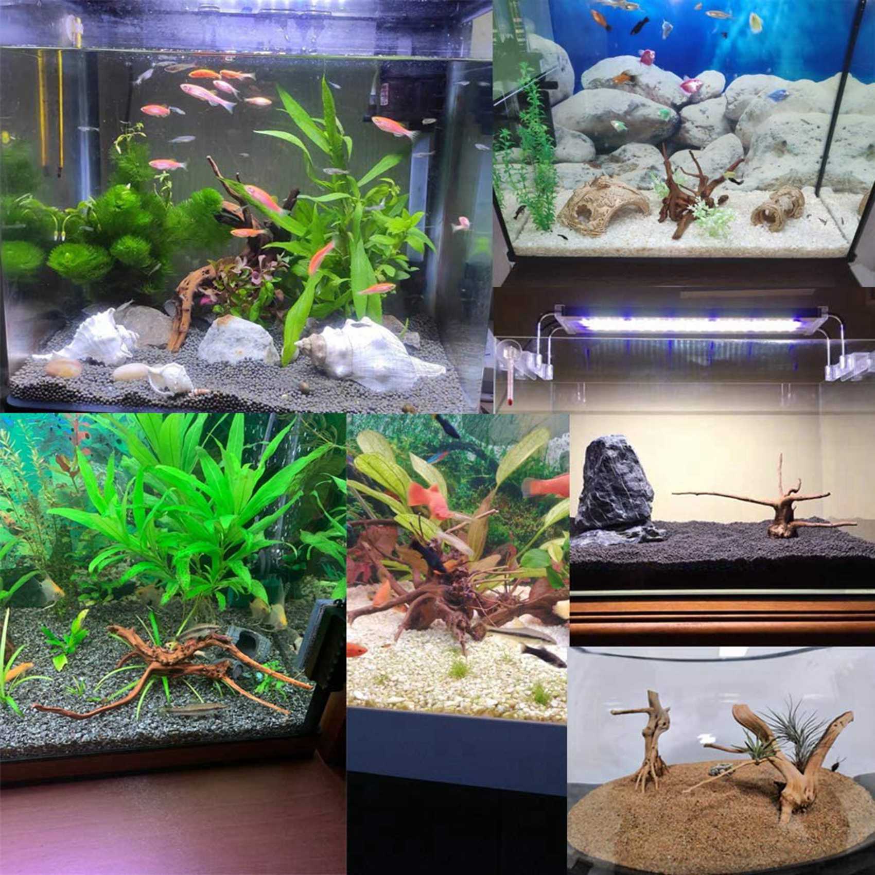 Sıcak Fırsat-Akvaryum İçin Min - Aquarium Plant Root Tabs incelemesi ve fiyatı