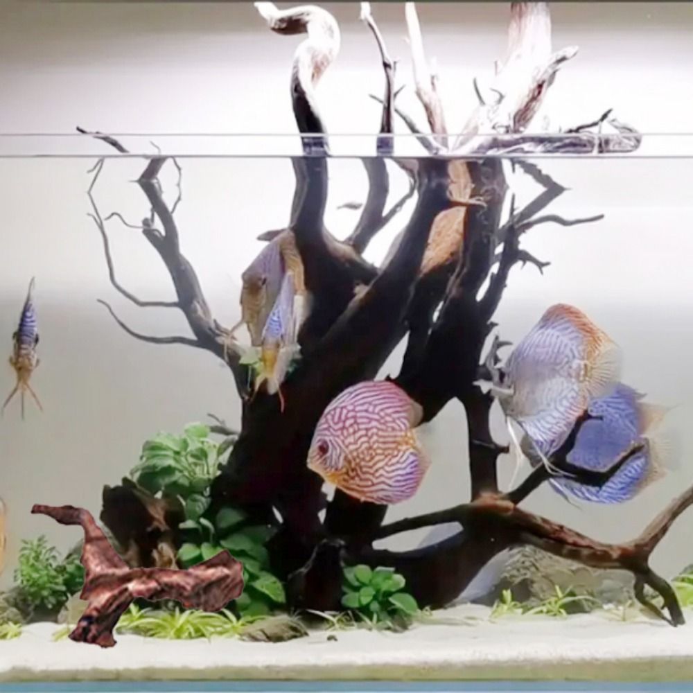 Yaratıcı Düzensiz Şekilli Merc - Aquarium Plant Root Tabs incelemesi ve fiyatı