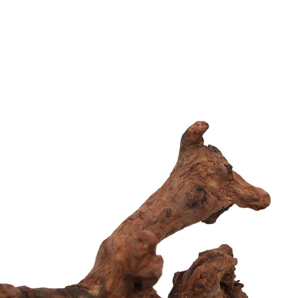 Yaratıcı Düzensiz Şekilli Merc - Aquarium Plant Root Tabs incelemesi ve fiyatı