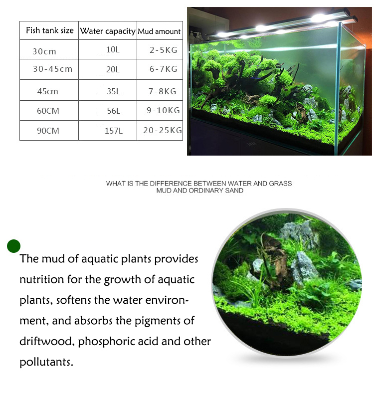 Akvaryum bitki tohumları topra - Aquarium Plant Nursery incelemesi ve fiyatı