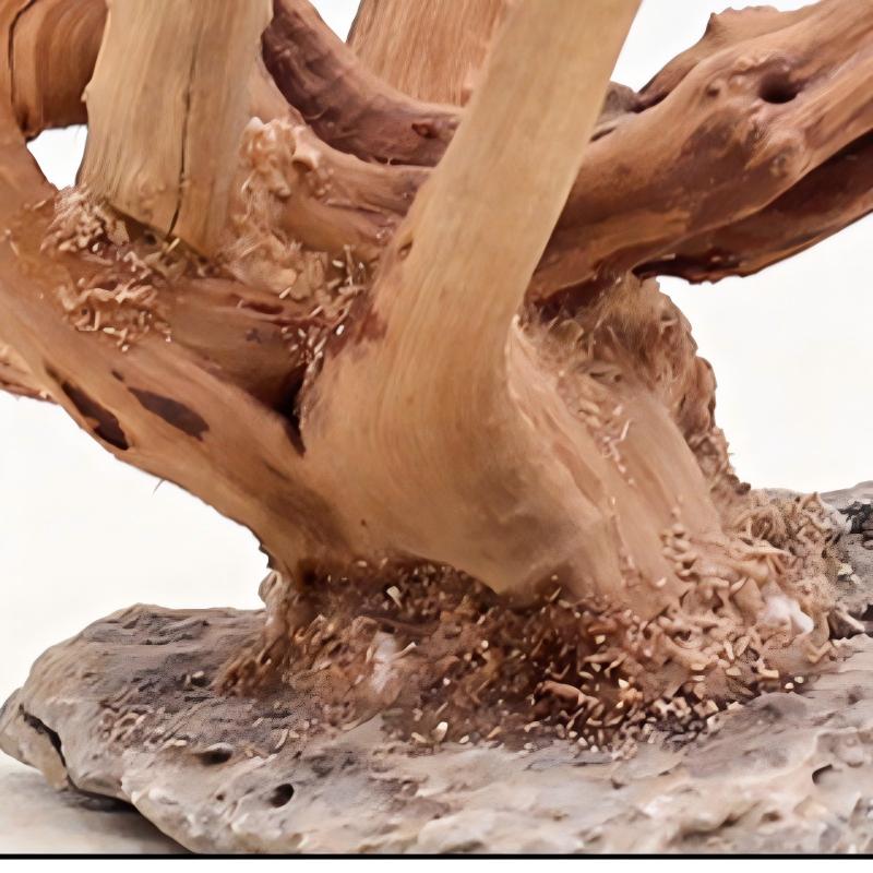 1 adet akvaryum peyzaj ahşap s - Aquarium Plant Root Tabs incelemesi ve fiyatı