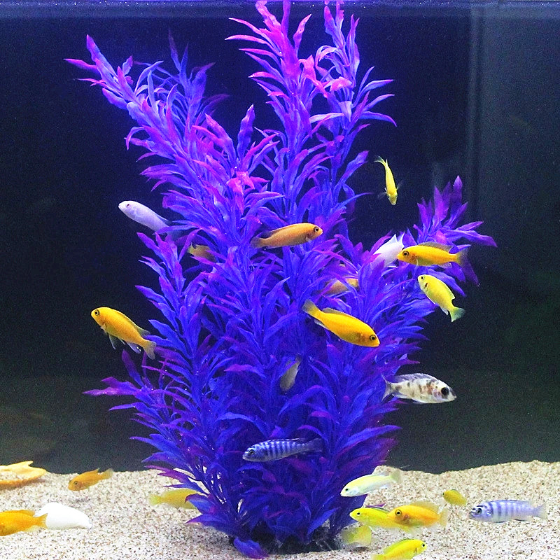 50 CM Yapay Balık Tankı Nadir  - Aquarium Plant Nursery incelemesi ve fiyatı