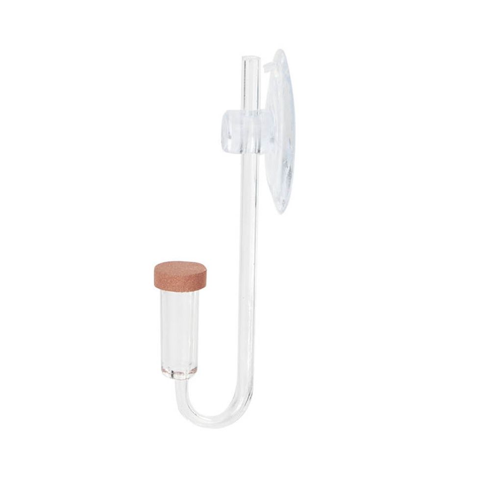 Akrilik Mini Balık Tankı Canlı - Aquarium Plant Nursery incelemesi ve fiyatı