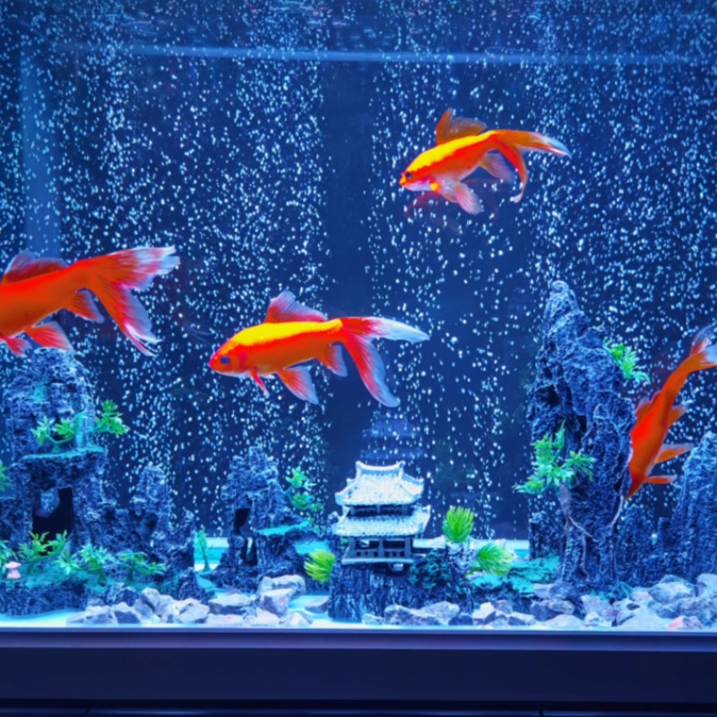 Akvaryum Dekor Taşı Kaya Oymas - Aquarium Plant Root Tabs incelemesi ve fiyatı