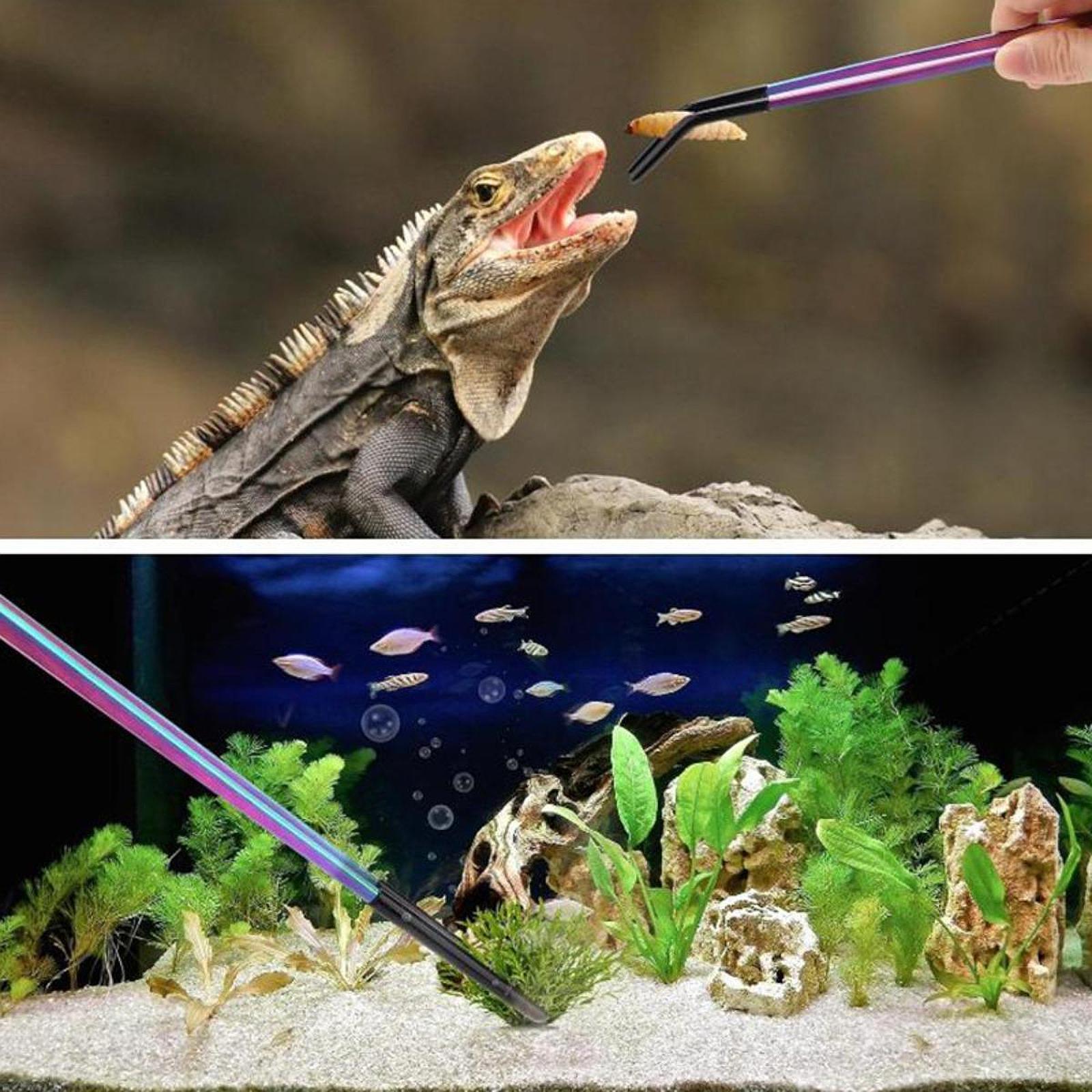Sürüngen Besleyici Maşa Siliko - Planted Aquarium Tips incelemesi ve fiyatı