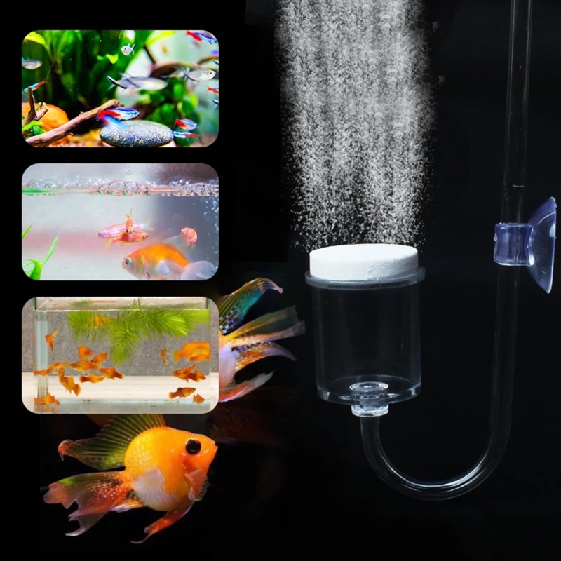 4 adet Set DIY CO2 difüzör içi - Aquarium Plant Nursery incelemesi ve fiyatı