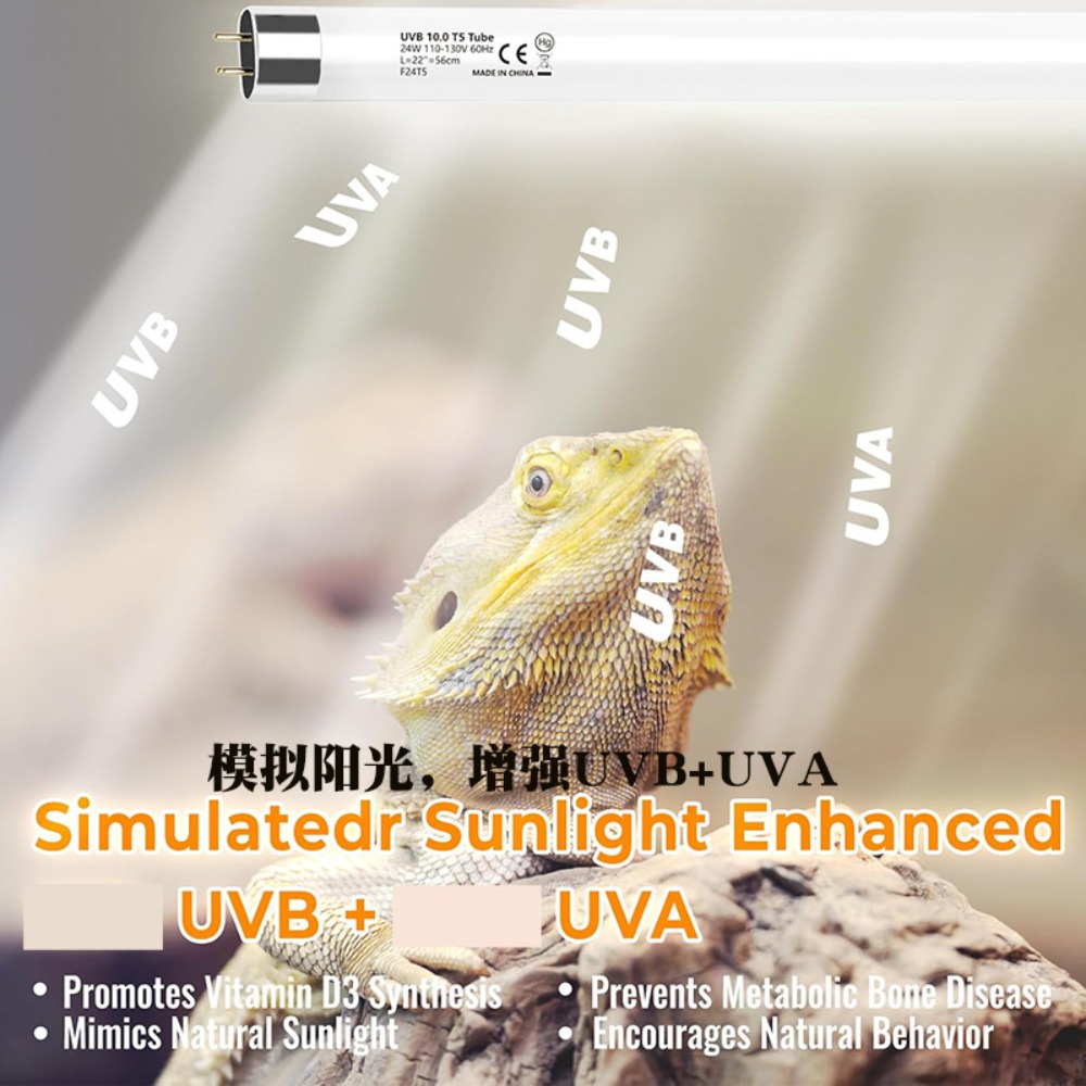 Bitkili ve Sürüngen Teraryumu  - Led Planted Tank Light incelemesi ve fiyatı